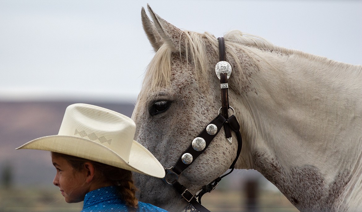Buckle Series horse show offers return for riders and families
